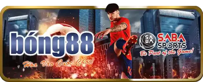 Hiểu rõ luật chơi